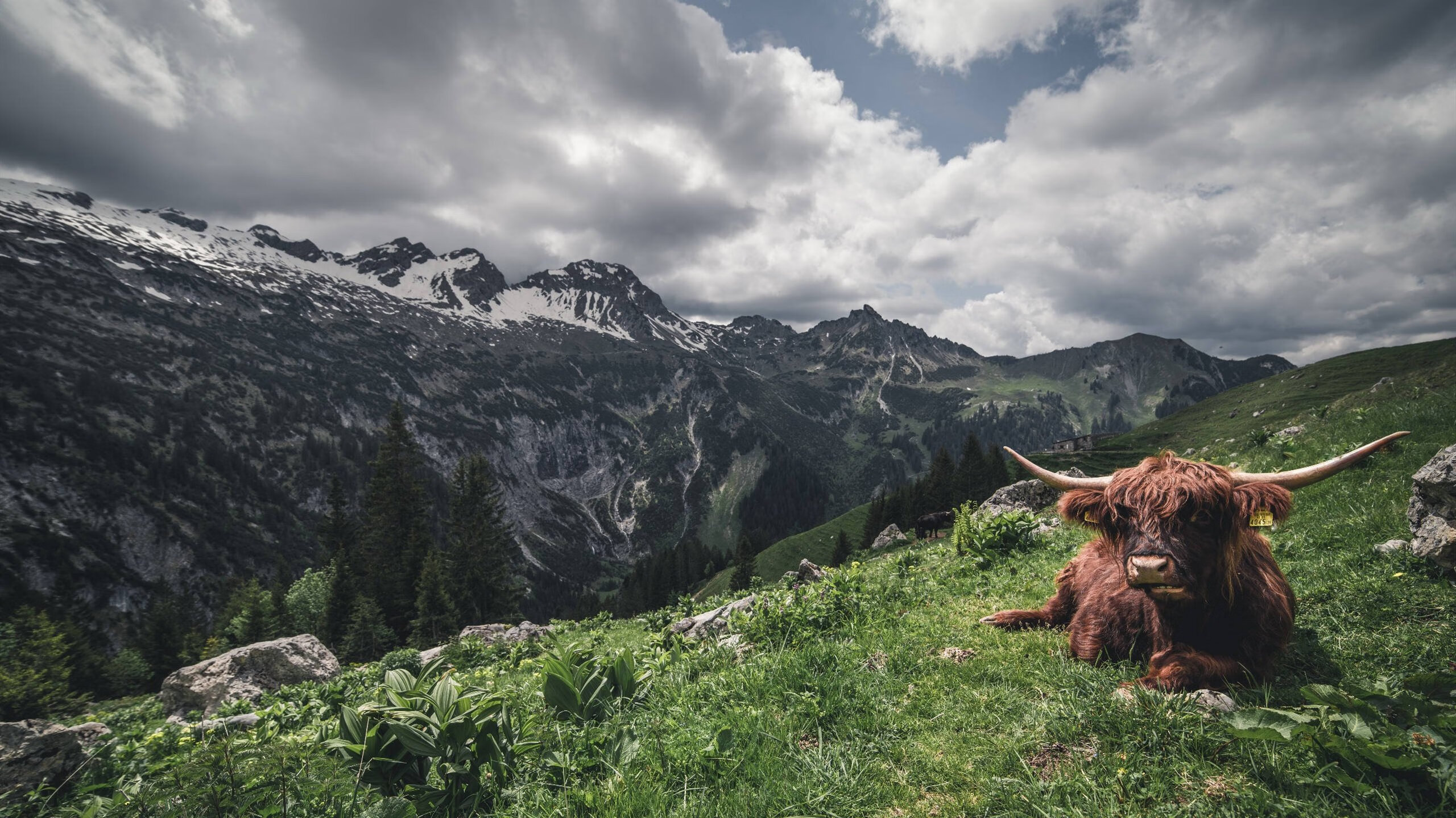 APEX英雄 新版本优化提升游戏体验,apex优化教程