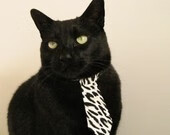 中国篮球联赛迎来新赛季精彩开幕,中国篮球队比赛时间