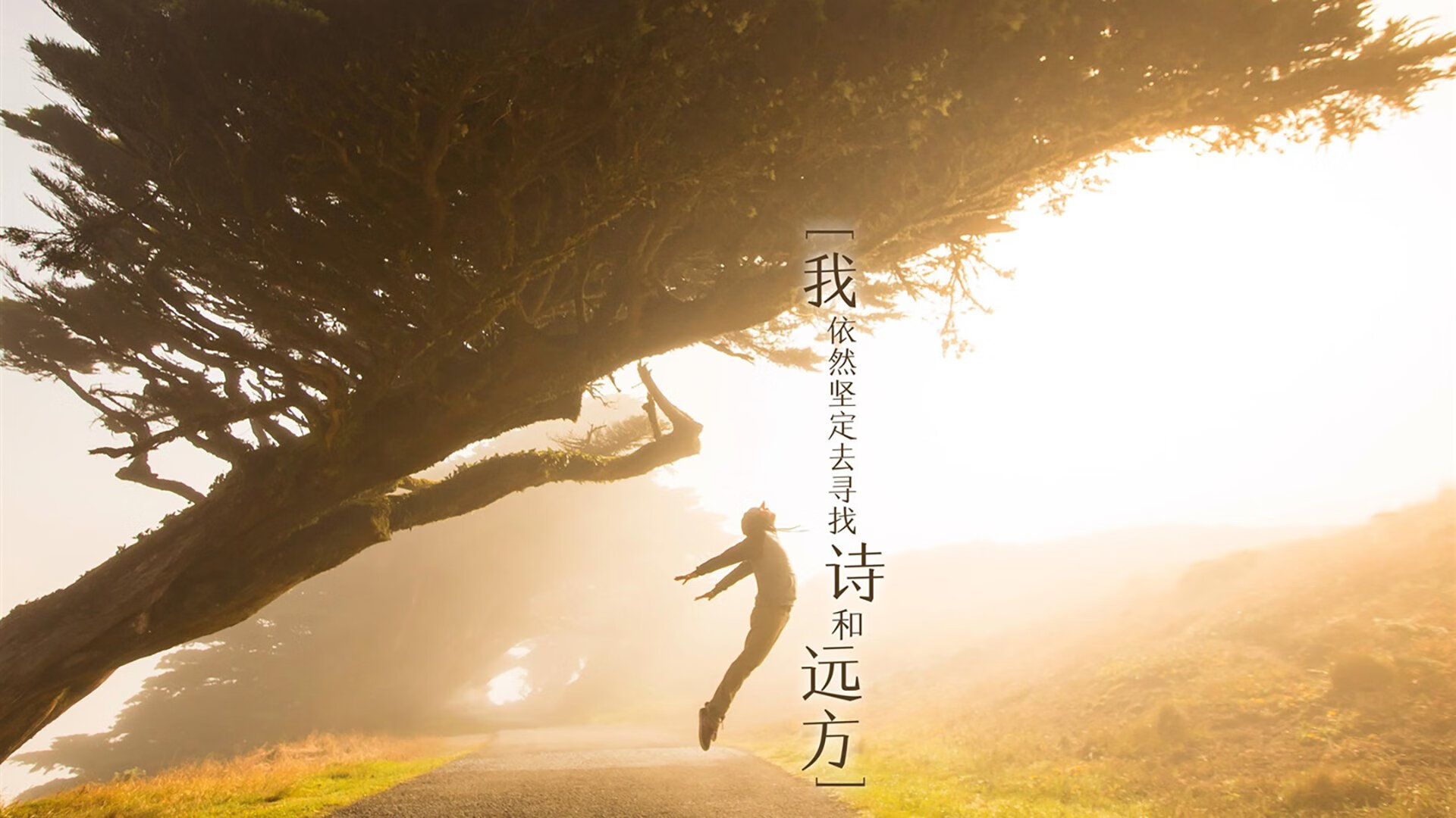 【Juan Soto的致命一击】关键时刻超强表现助球队出线,致命一击是什么技能